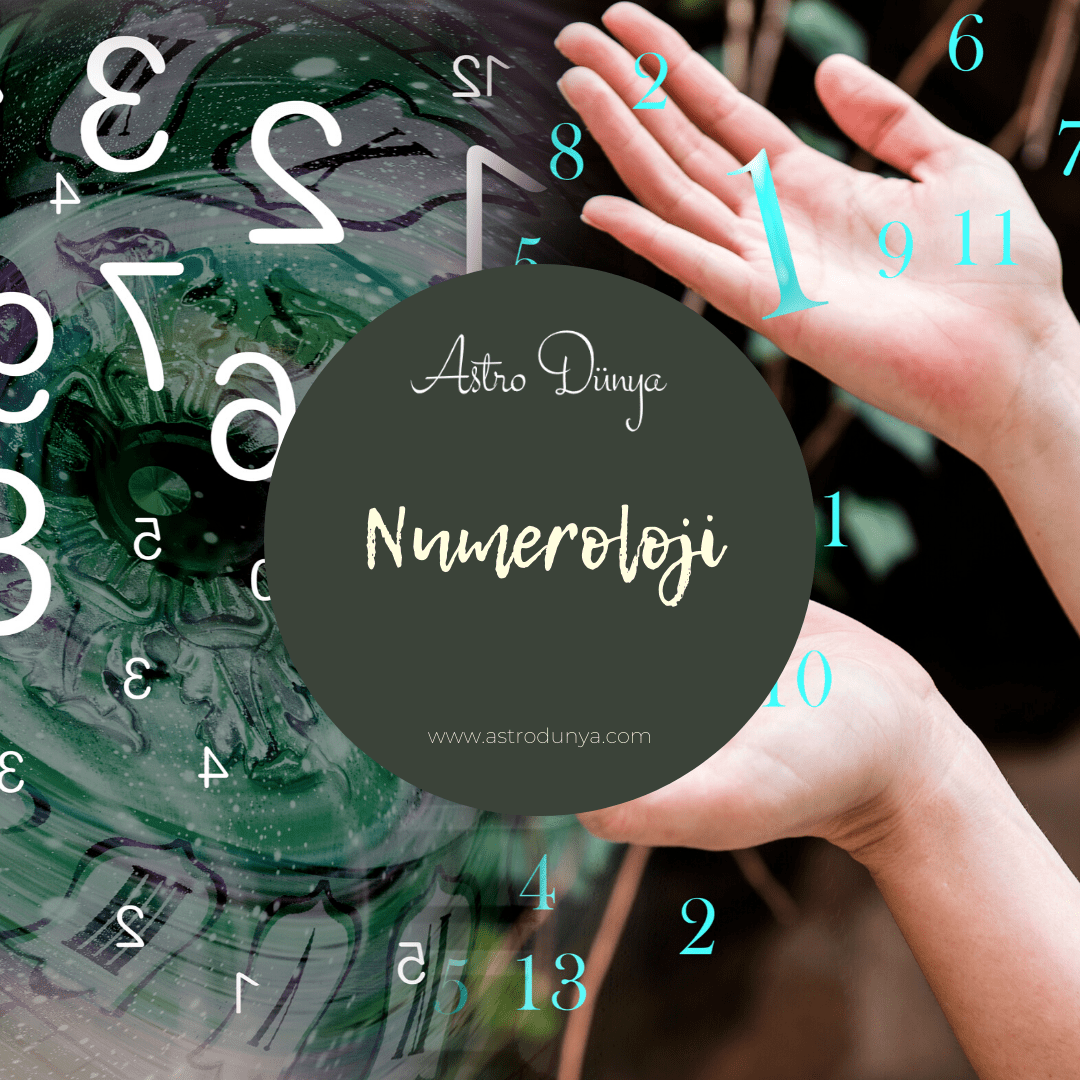 Numeroloji ve Sayılar ile İçsel ÖZ’e Yolculuk
