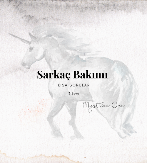 Sarkaç Bakımı